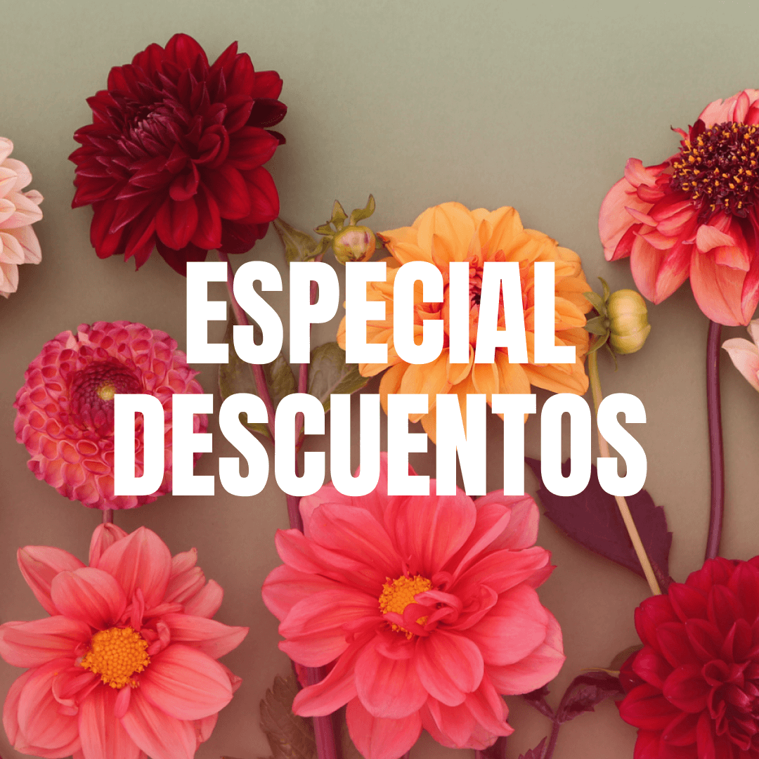 Especial Descuentos en Ramos de Flores Rosas